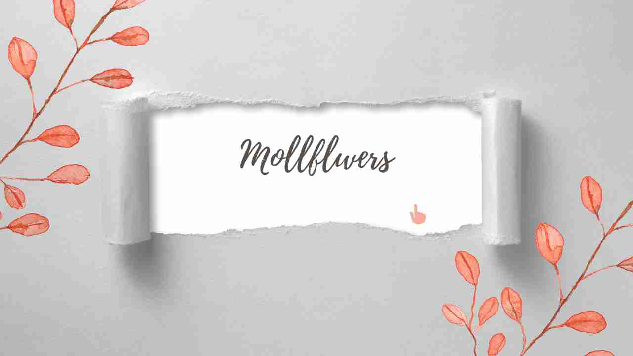 mollflwers